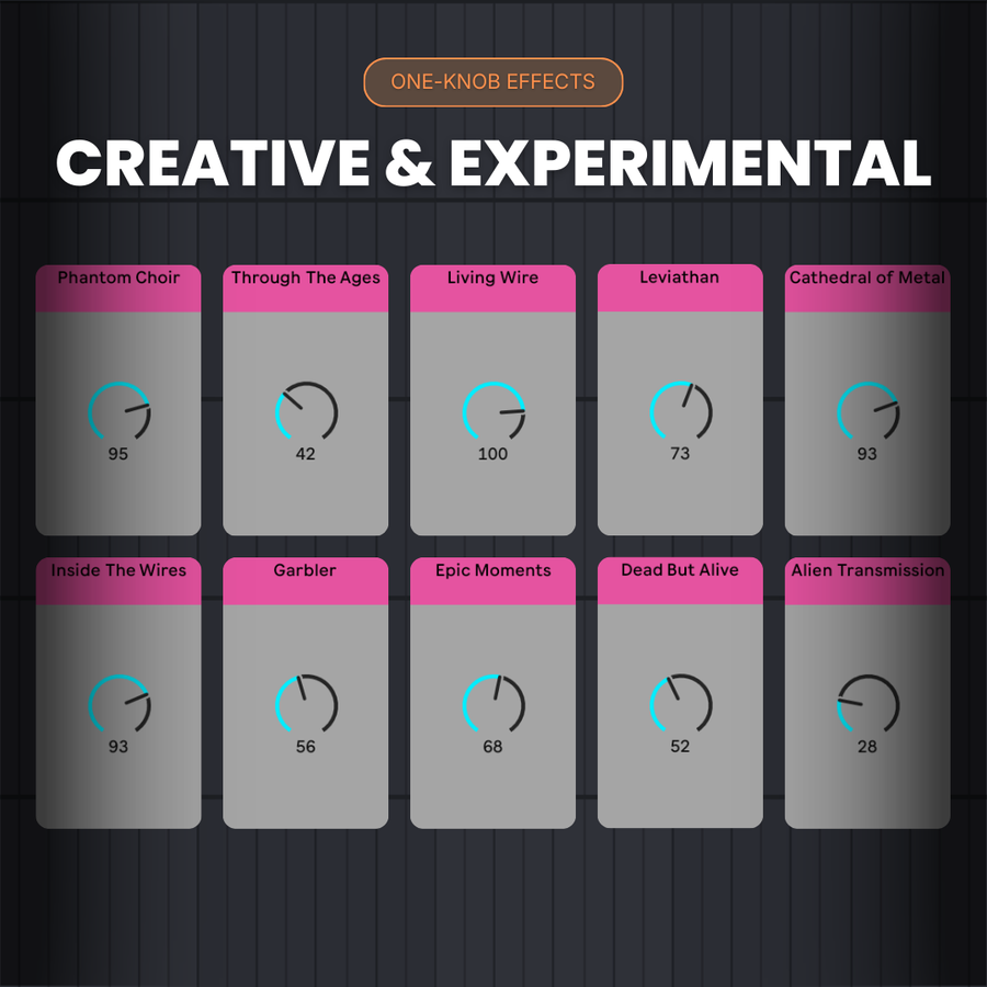 Suite Master Collection